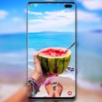 summer wallpaper android application logo